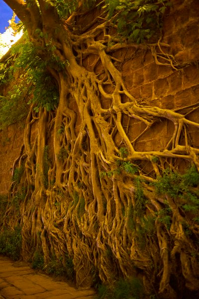 Leshan (Giant Buddha) 2025 #45