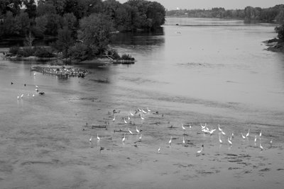 Muides-sur-Loire, Sept 2020 #4