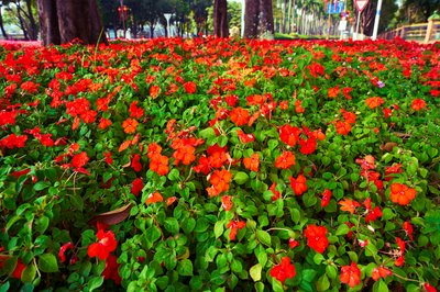 Zhongshan 202603 #60