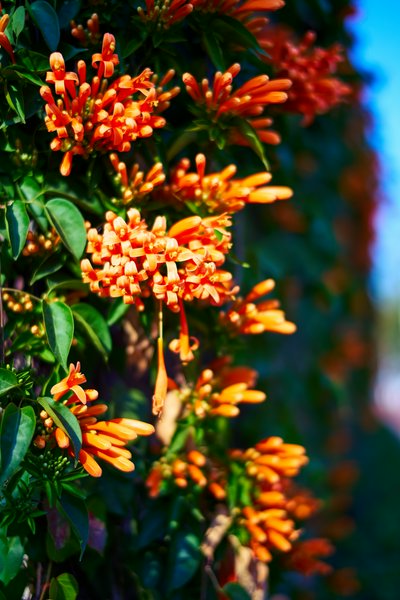 Zhongshan Parks 202601 #8