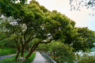 Zhongshan Parks 202603 #29