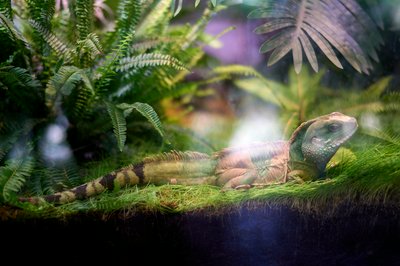 Kunming Zoo 2025 #11