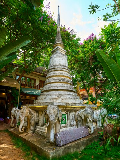 Xishuangbanna Gaozhuang 2025 #33