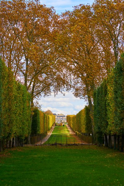 Park of Versailles, Autumn 2020 #19