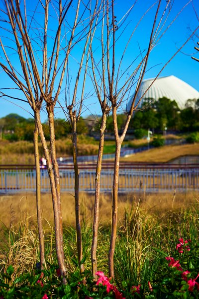 Zhongshan Parks 202602 #16