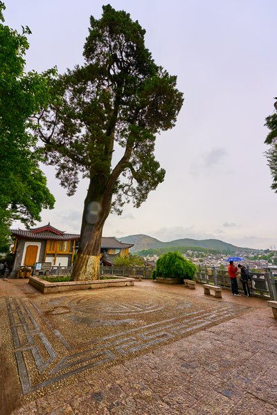 Lijiang Old Town 2025 #79