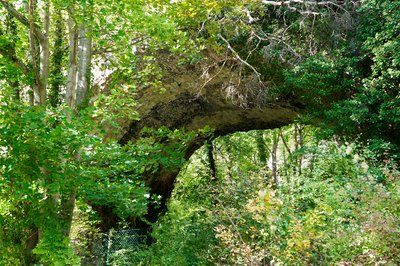 Aqueduc de Maintenon [Oct 2021] #8