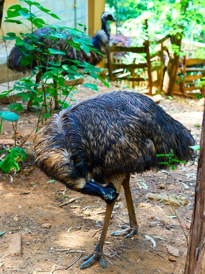 Kunming Zoo 2025 #60