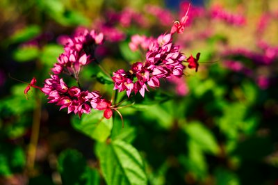 Zhongshan Parks 202601 #21