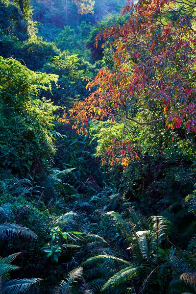 Zhongshan Parks 202601 #33