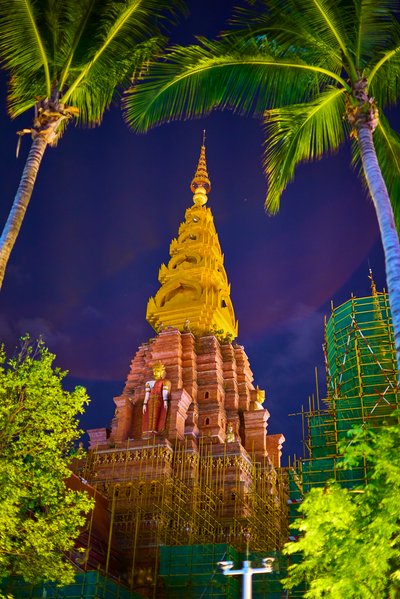 Xishuangbanna Gaozhuang 2025 #17