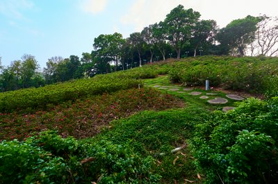 Zhongshan Parks 202603 #39