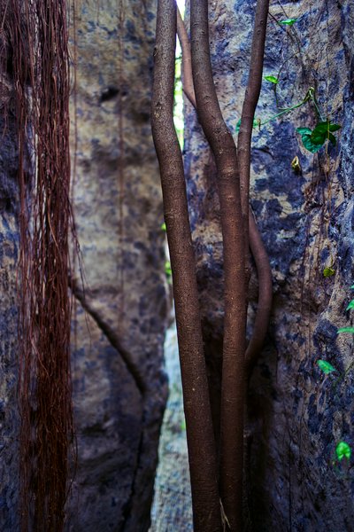 Zhongshan Parks 202601 #3