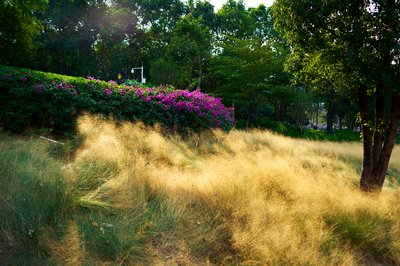 Parks in Zhongshan 202512 #61