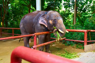 Xishuangbanna Manting Park 2025 #57