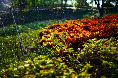 Zhongshan Parks 202601 #17