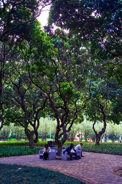 Zhongshan Parks 202601 #6