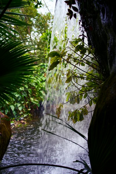 Zhongshan Parks 202601 #1