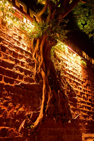 Leshan (Giant Buddha) 2025 #44