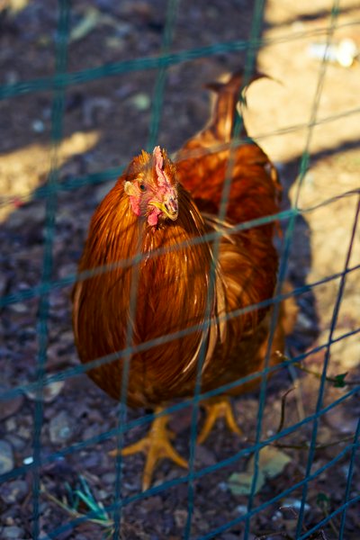 Zhongshan Parks 202602 #9