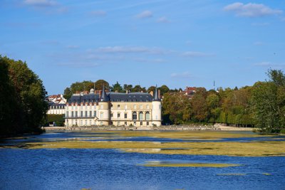 Swans, Geese & Flowers @ Chateau de Rambouillet 201809 #5