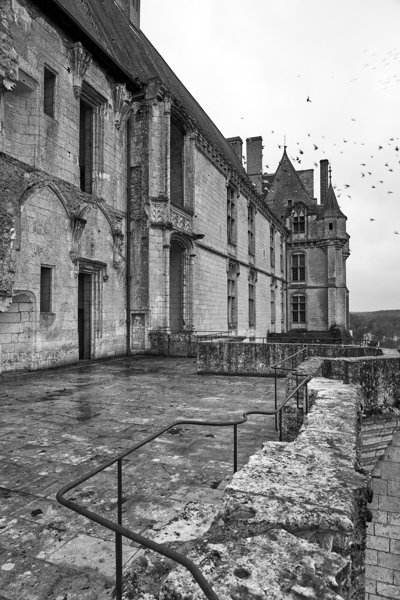 Chateau de Chateaudun (Winter) Feb 2020 #29