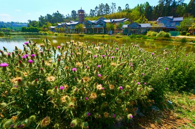 Kunming Expo 2025 #2