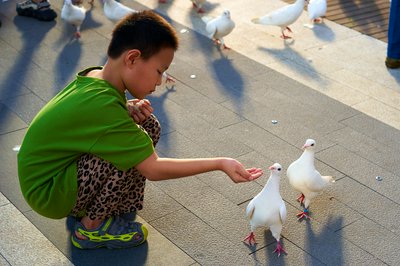 Tianjin 2024 Summer #47