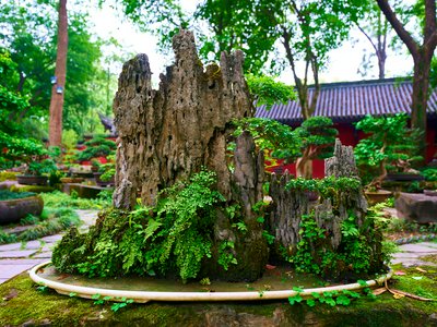 Chengdu Wuhouci 2025 #12