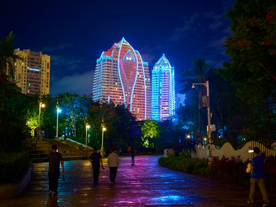 Xishuangbanna Misc 2025 #12