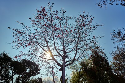 Zhongshan Parks 202603 #17