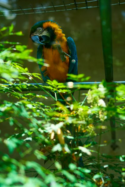 Kunming Zoo 2025 #33
