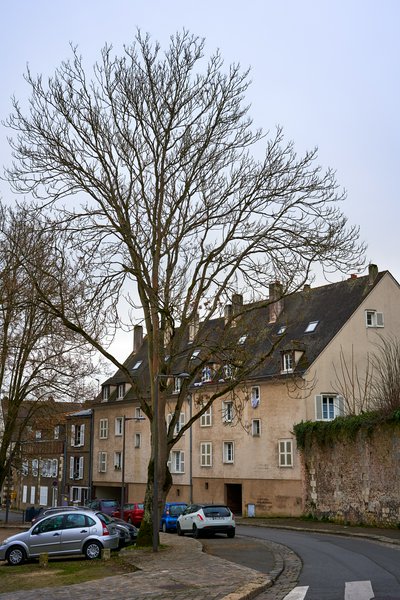 Chartres [Jan 2022] #16
