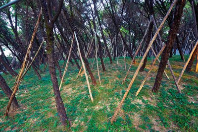 Parks in Zhongshan 202512 #41