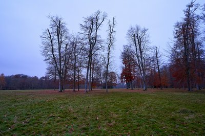 Photo from gallery Rambouillet [Nov 2021] taken on 2021-11-25 16:55:45 at Rambouillet by DrJLT