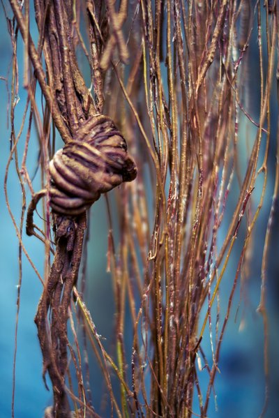 Zhongshan Parks 202601 #68