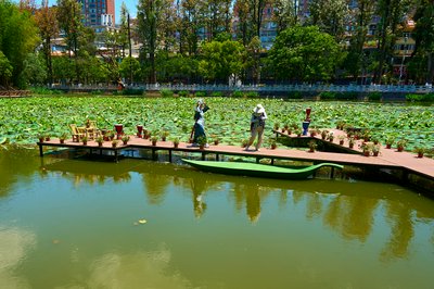 Kunming Misc 2025 #8