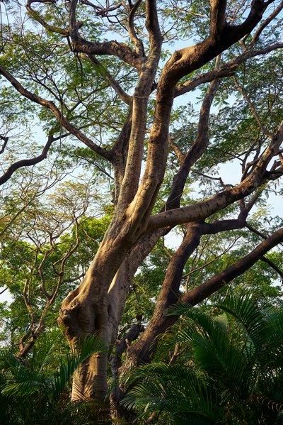 Zhongshan Parks 202601 #59