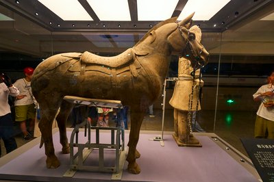 Terracotta Army #31