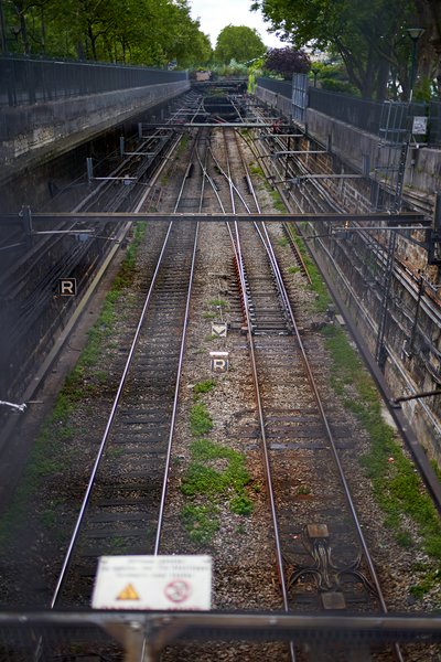 Jardin des plantes [Paris] Aug 2021 #37