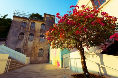 Zhongshan 202512 #29