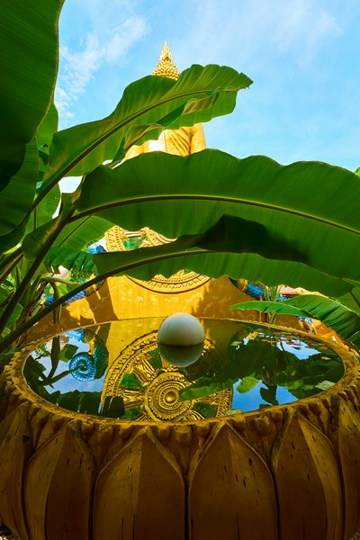 Xishuangbanna Manting Park 2025 #62