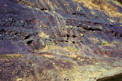 Parks in Zhongshan 202512 #30