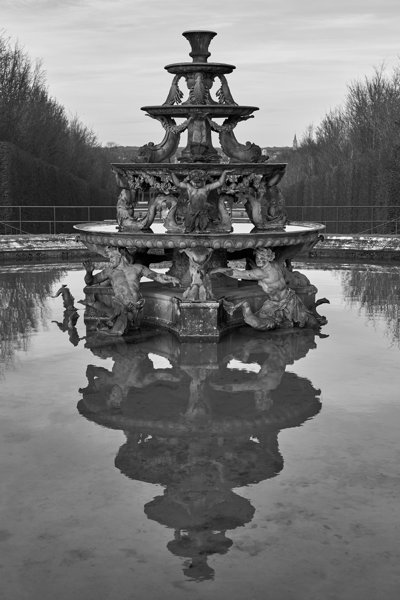 Versailles (Swan, Trees, Flowers) Feb 2020 #5