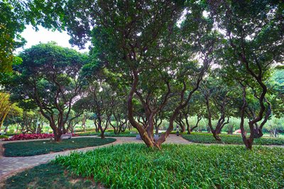 Parks in Zhongshan 202512 #40