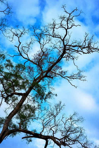 Parks in Zhongshan 202512 #56