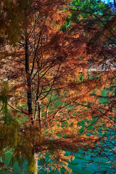 Zhongshan Parks 202601 #50