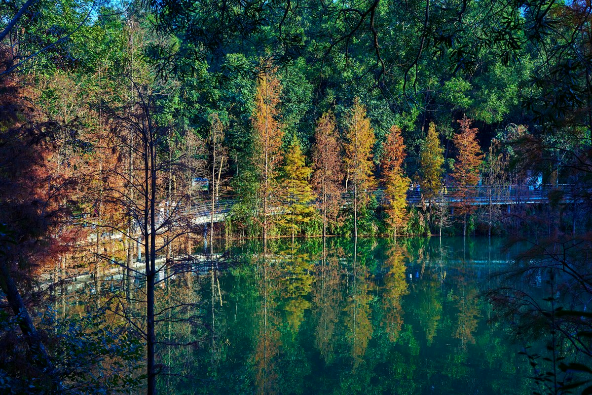 Hero Image for Zhongshan Parks 202601