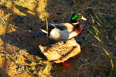 Zhongshan Parks 202601 #34