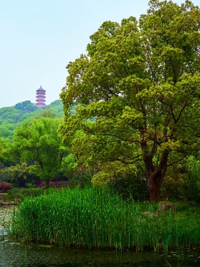 Wuxi 2026 #5